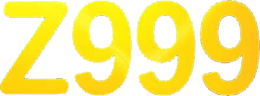bdz999.com Logo